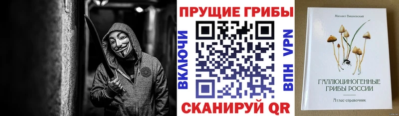 Купить где  Славгород  Псилоцибиновые грибы Magic Shrooms 