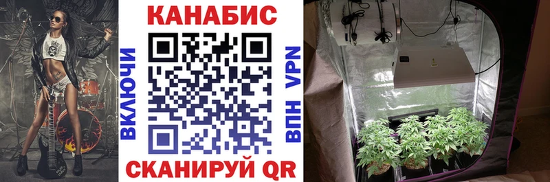 Купить закладки  Славгород  Шишки марихуана тримм 
